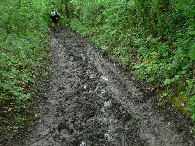 verschiedene wege